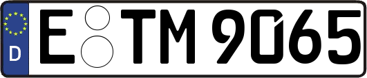 E-TM9065