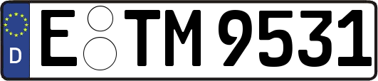 E-TM9531