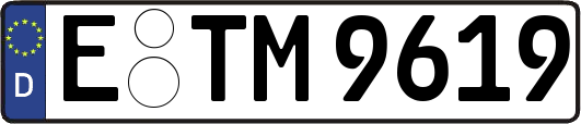 E-TM9619