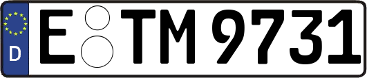 E-TM9731