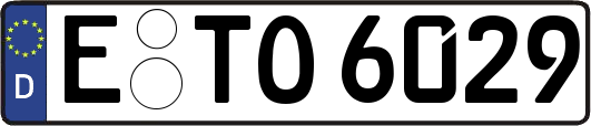 E-TO6029