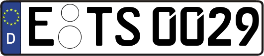 E-TS0029