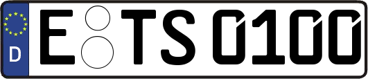 E-TS0100