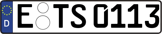 E-TS0113