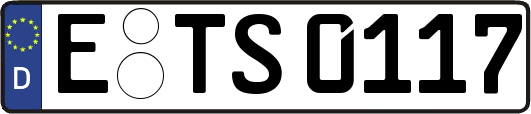E-TS0117