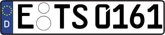 E-TS0161