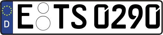 E-TS0290