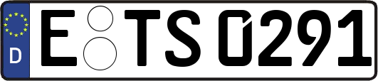 E-TS0291