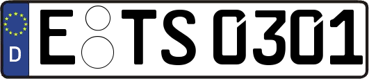 E-TS0301