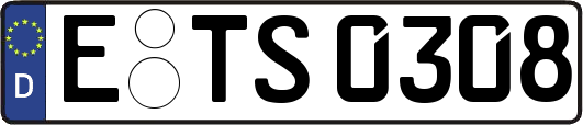 E-TS0308