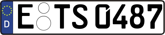 E-TS0487