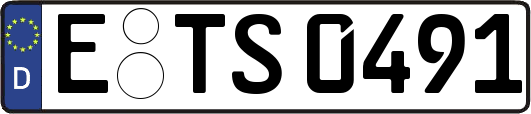 E-TS0491