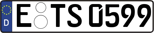 E-TS0599