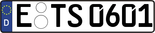 E-TS0601