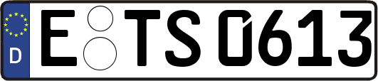 E-TS0613