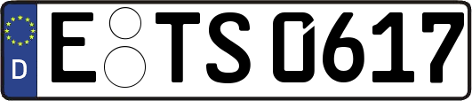 E-TS0617