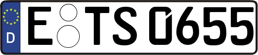 E-TS0655