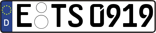 E-TS0919