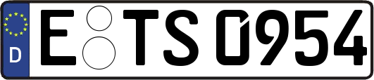E-TS0954
