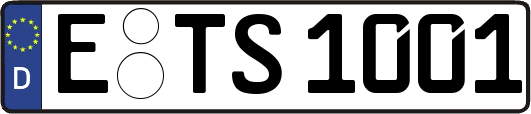 E-TS1001