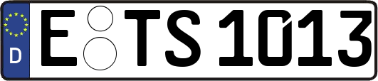 E-TS1013