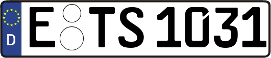 E-TS1031