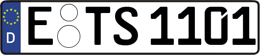 E-TS1101