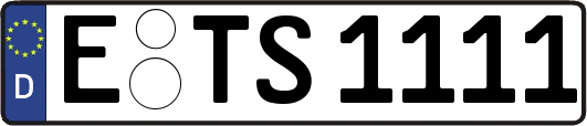 E-TS1111
