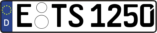 E-TS1250