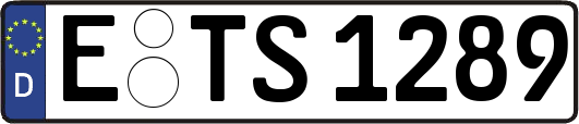 E-TS1289