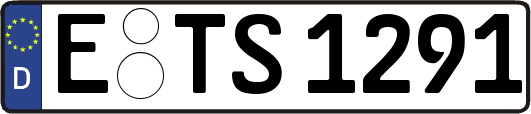 E-TS1291
