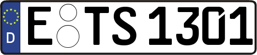 E-TS1301