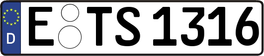 E-TS1316