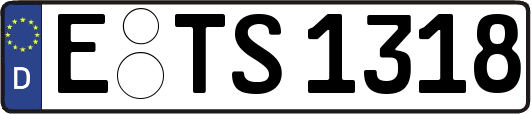 E-TS1318