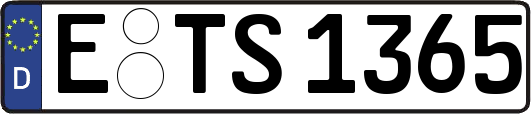 E-TS1365