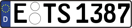 E-TS1387