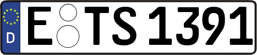 E-TS1391