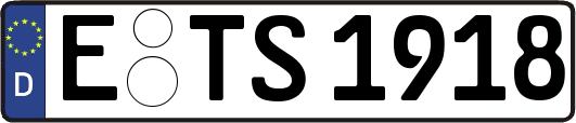 E-TS1918