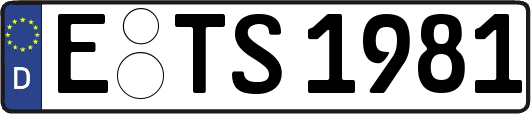 E-TS1981