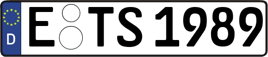 E-TS1989
