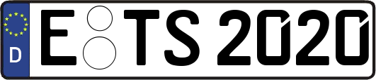 E-TS2020