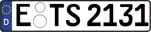 E-TS2131