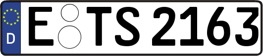 E-TS2163