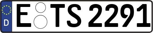 E-TS2291