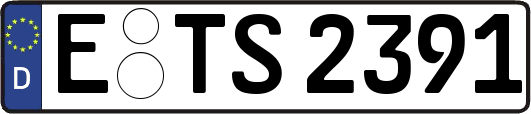 E-TS2391