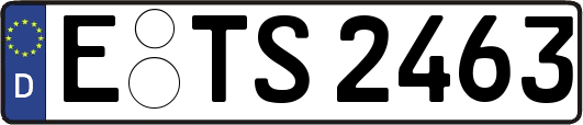 E-TS2463