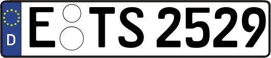 E-TS2529