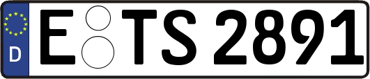 E-TS2891