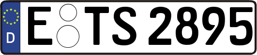E-TS2895