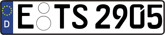 E-TS2905